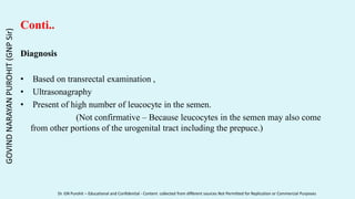 Conti..
Diagnosis
• Based on transrectal examination ,
• Ultrasonagraphy
• Present of high number of leucocyte in the semen.
(Not confirmative – Because leucocytes in the semen may also come
from other portions of the urogenital tract including the prepuce.)
GOVIND
NARAYAN
PUROHIT
(GNP
Sir)
Dr. GN Purohit – Educational and Confidential - Content collected from different sources Not Permitted for Replication or Commercial Purposes
 