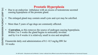 Prostatic Hyperplasia
• Due to an endocrine imbalance with an excess of testosterone secreted
causing hyperplasia of the prostate gland.
• The enlarged gland may contain small cysts and cyst may be calcified.
• More than 5 years of age dogs are commonly affected.
• Castration, as this removes the source of androgen causing hyperplasia.
Within 2 to 3 weeks the gland begins to noticeably involute
and by 6 to 8 weeks it is relatively small in size and atrophied.
Finasteride daily oral administration of 0.1–0.5 mg/kg BW for
16 weeks
GOVIND
NARAYAN
PUROHIT
(GNP
Sir)
Dr. GN Purohit – Educational and Confidential - Content collected from different sources Not Permitted for Replication or Commercial Purposes
 