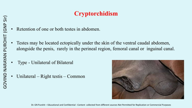 Andrology lecture 19 impotentia generandi part 2
