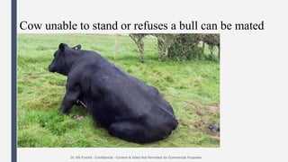 Andrology lecture 2 artificial insemination advantages and history | PDF