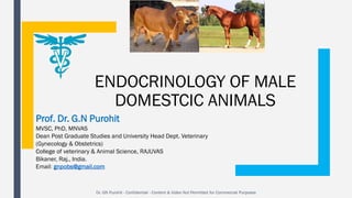 ENDOCRINOLOGY OF MALE
DOMESTCIC ANIMALS
Prof. Dr. G.N Purohit
MVSC, PhD, MNVAS
Dean Post Graduate Studies and University Head Dept. Veterinary
(Gynecology & Obstetrics)
College of veterinary & Animal Science, RAJUVAS
Bikaner, Raj., India.
Email: gnpobs@gmail.com
Dr. GN Purohit - Confidential - Content & Video Not Permitted for Commercial Purposes
 