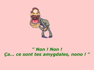 " Non ! Non ! Ça... ce sont tes amygdales, nono ! "   