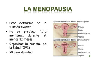 LA MENOPAUSIA

• Cese definitivo de la
  función ovárica
• No se produce flujo
  menstrual durante al
  menos 12 meses
• Organización Mundial de
  la Salud (OMS)
• 50 años de edad
 