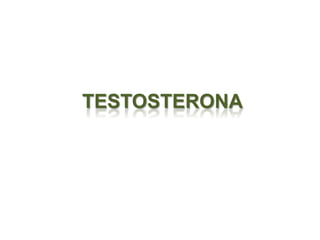 TESTOSTERONA
 
