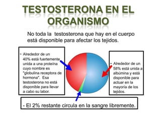 TESTOSTERONA EN EL
    ORGANISMO
 