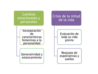Cambios
                    Crisis de la mitad
emocionales y
                        de la vida
 personales

   Incorporación
         de             Evaluación de
  características        toda su vida
  femeninas a la            previa
    personalidad


                         Reajuste de
  Generatividad y
                        expectativas y
  estancamiento
                           sueños
 