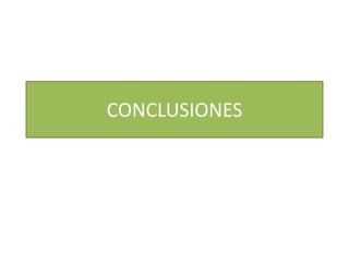 CONCLUSIONES
 