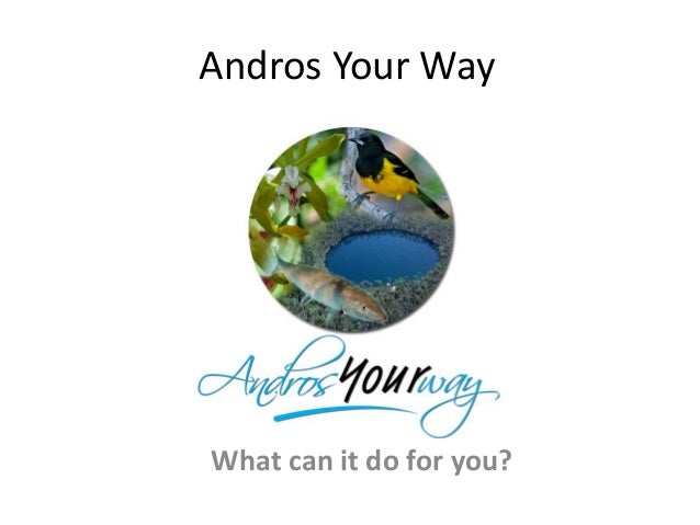 Andros Your Way
What can it do for you?
 