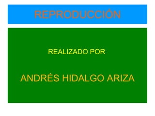 REPRODUCCIÓN
REALIZADO POR:
ANDRÉS HIDALGO ARIZA
 