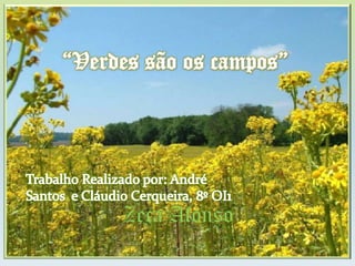 Zeca Afonso “Verdes são os campos” Trabalho Realizado por: André Santos  e Cláudio Cerqueira, 8º OI1 
