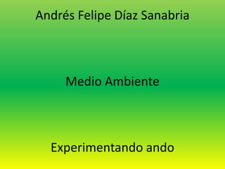 Andrés Felipe Díaz Sanabria

Medio Ambiente

Experimentando ando

 