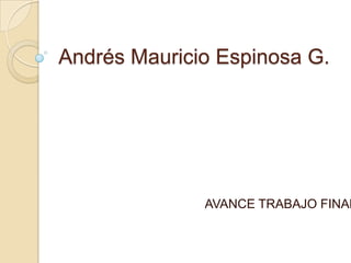 Andrés Mauricio Espinosa G.  AVANCE TRABAJO FINAL  