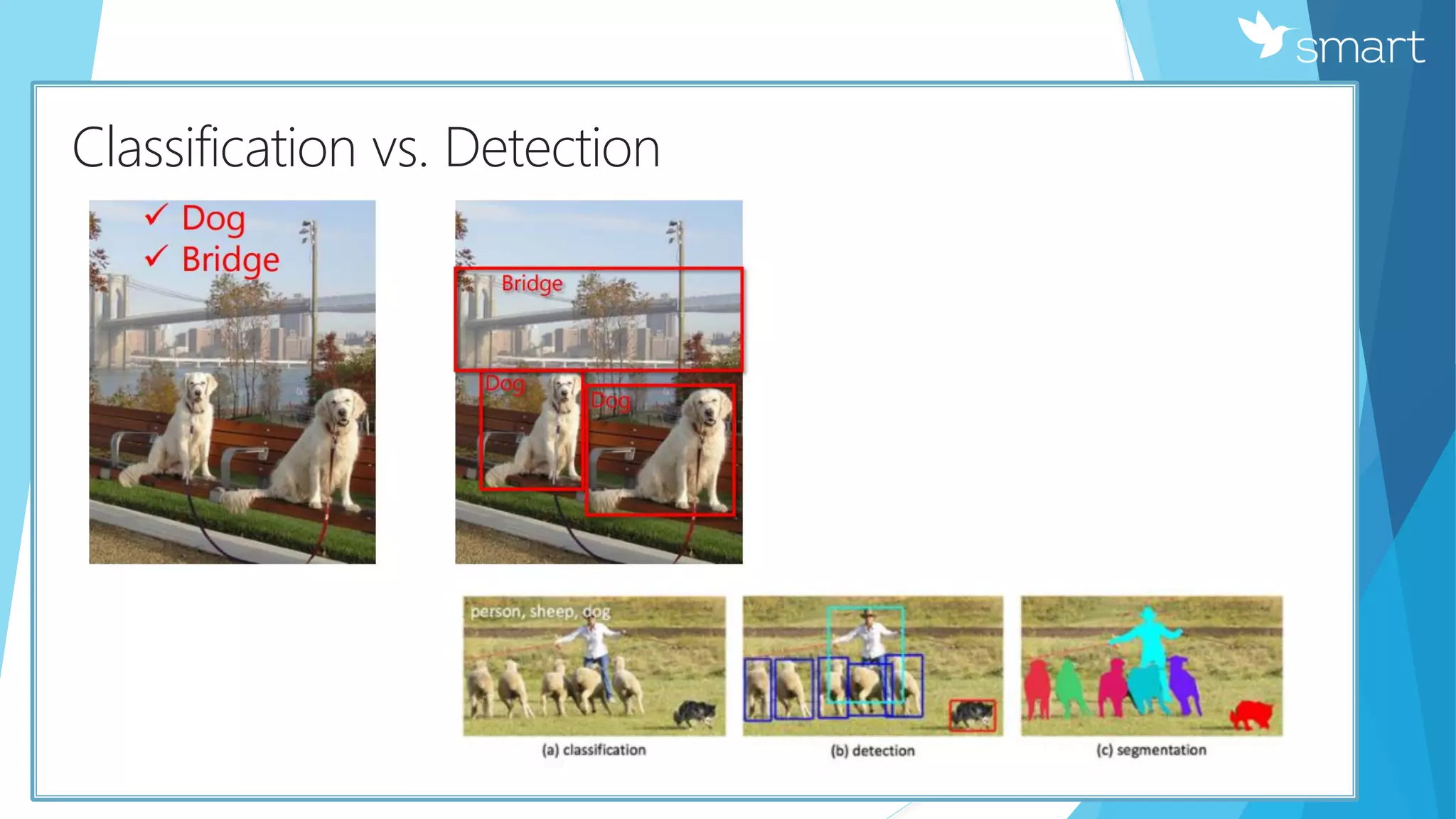 КClassification vs. Detection
 