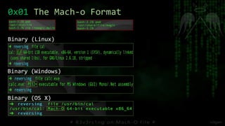 Binary (Linux)
Binary (Windows)
Binary (OS X)
0x01 The Mach-o Format
 