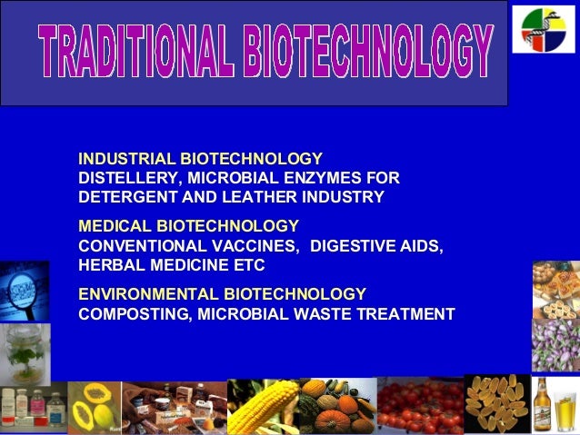 examples of traditional biotechnology Essay on biotechnology: definition, advancement and application.