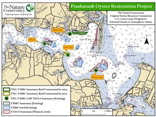 Piankatank Oyster Restoration Project 