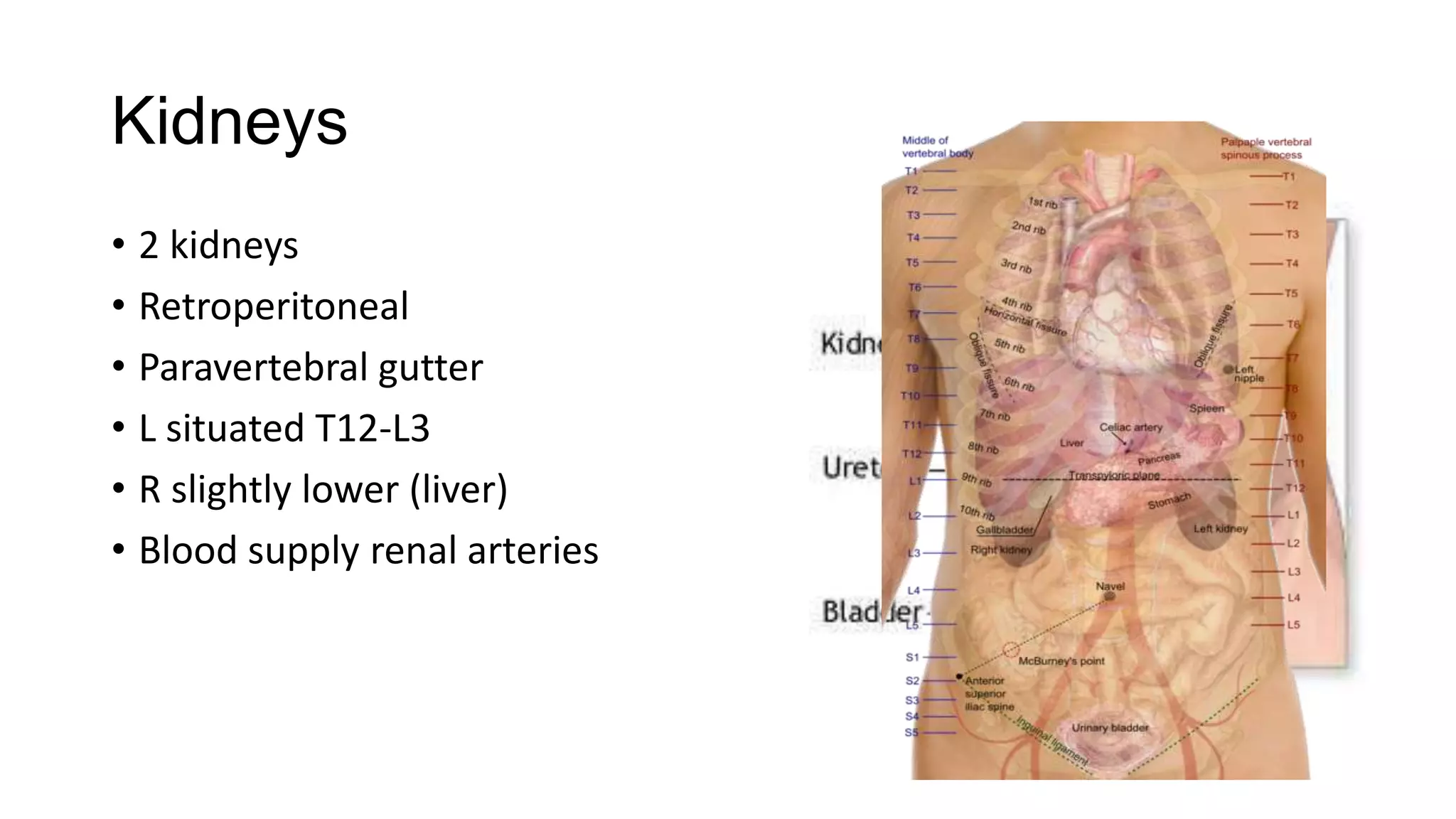 Clinical examination of the gi tract and abdomen [recovered] [recovered ...