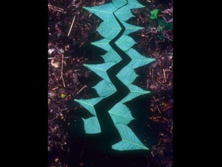Andy Goldsworthy