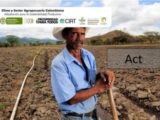 Adaptation Start to Finish in Colombia