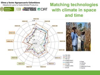 Adaptation Start to Finish in Colombia