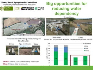 Adaptation Start to Finish in Colombia