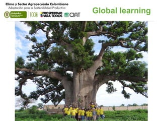 Adaptation Start to Finish in Colombia