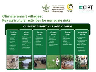 Adaptation Start to Finish in Colombia