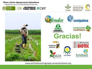 Adaptation Start to Finish in Colombia