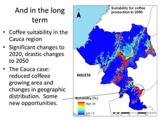 And in the long
term
• Coffee suitability in the
Cauca region
• Significant changes to
2020, drastic changes
to 2050
• The...