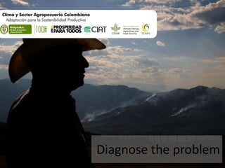 Adaptation Start to Finish in Colombia