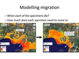 Andy  Jarvis Are Protected Areas Enough To Conserve Biodiversity In 2050    G B I F  Science  Symposium  Oct 2009