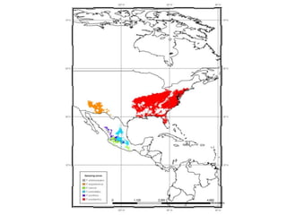 Andy  Jarvis Are Protected Areas Enough To Conserve Biodiversity In 2050    G B I F  Science  Symposium  Oct 2009