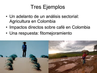 Andy  J    Cambio Climático En Agricultura  A C O D A L  Julio 2009