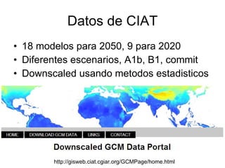 Andy J   Cambio ClimáTico En Cafetales Pereira Julio 2009