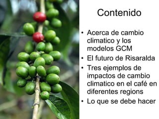 Andy J   Cambio ClimáTico En Cafetales Pereira Julio 2009