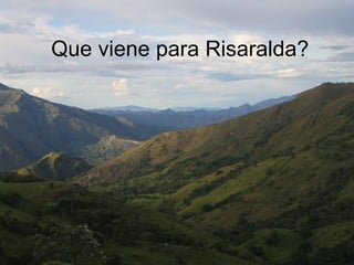 Andy J   Cambio ClimáTico En Cafetales Pereira Julio 2009