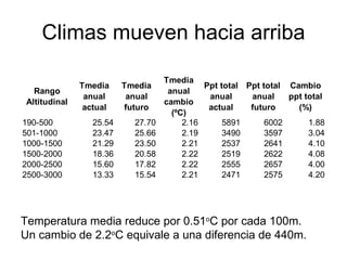 Andy J   Cambio ClimáTico En Cafetales Pereira Julio 2009