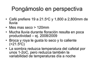 Andy J   Cambio ClimáTico En Cafetales Pereira Julio 2009