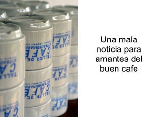 Andy J   Cambio ClimáTico En Cafetales Pereira Julio 2009