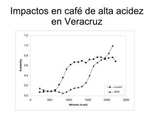 Andy J   Cambio ClimáTico En Cafetales Pereira Julio 2009