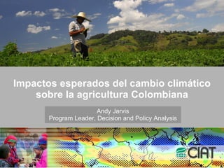 Impactos esperados del cambio climático sobre la agricultura Colombiana Andy Jarvis Program Leader, Decision and Policy Analysis 