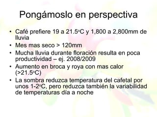 Andy J   Cambio ClimáTico En Colombia Agroexpo Julio 2009