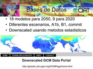 Andy Jarvis Cambio ClimáTico Y Plagas En Colombia