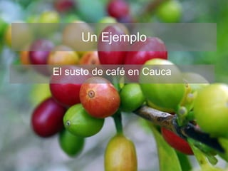 Andy Jarvis Cambio ClimáTico Y Plagas En Colombia