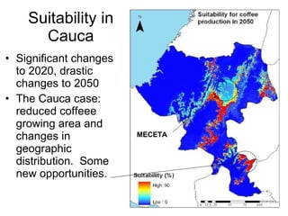 Andy Jarvis Cambio ClimáTico Y Plagas En Colombia