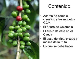 Andy Jarvis Cambio ClimáTico Y Plagas En Colombia