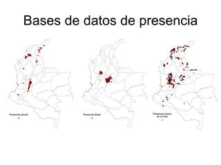 Andy Jarvis Cambio ClimáTico Y Plagas En Colombia