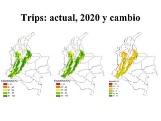 Andy Jarvis Cambio ClimáTico Y Plagas En Colombia