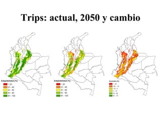 Andy Jarvis Cambio ClimáTico Y Plagas En Colombia