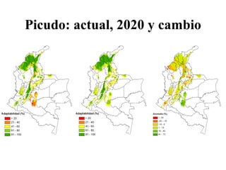 Andy Jarvis Cambio ClimáTico Y Plagas En Colombia